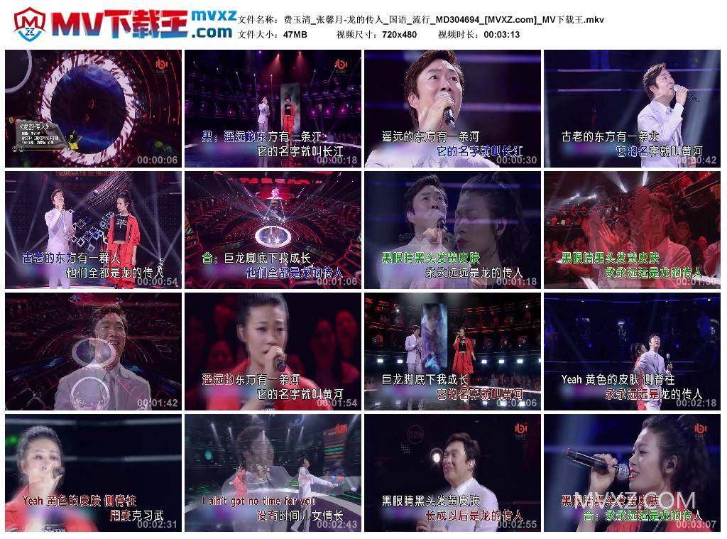 费玉清_张馨月-龙的传人_国语_流行_MD304694